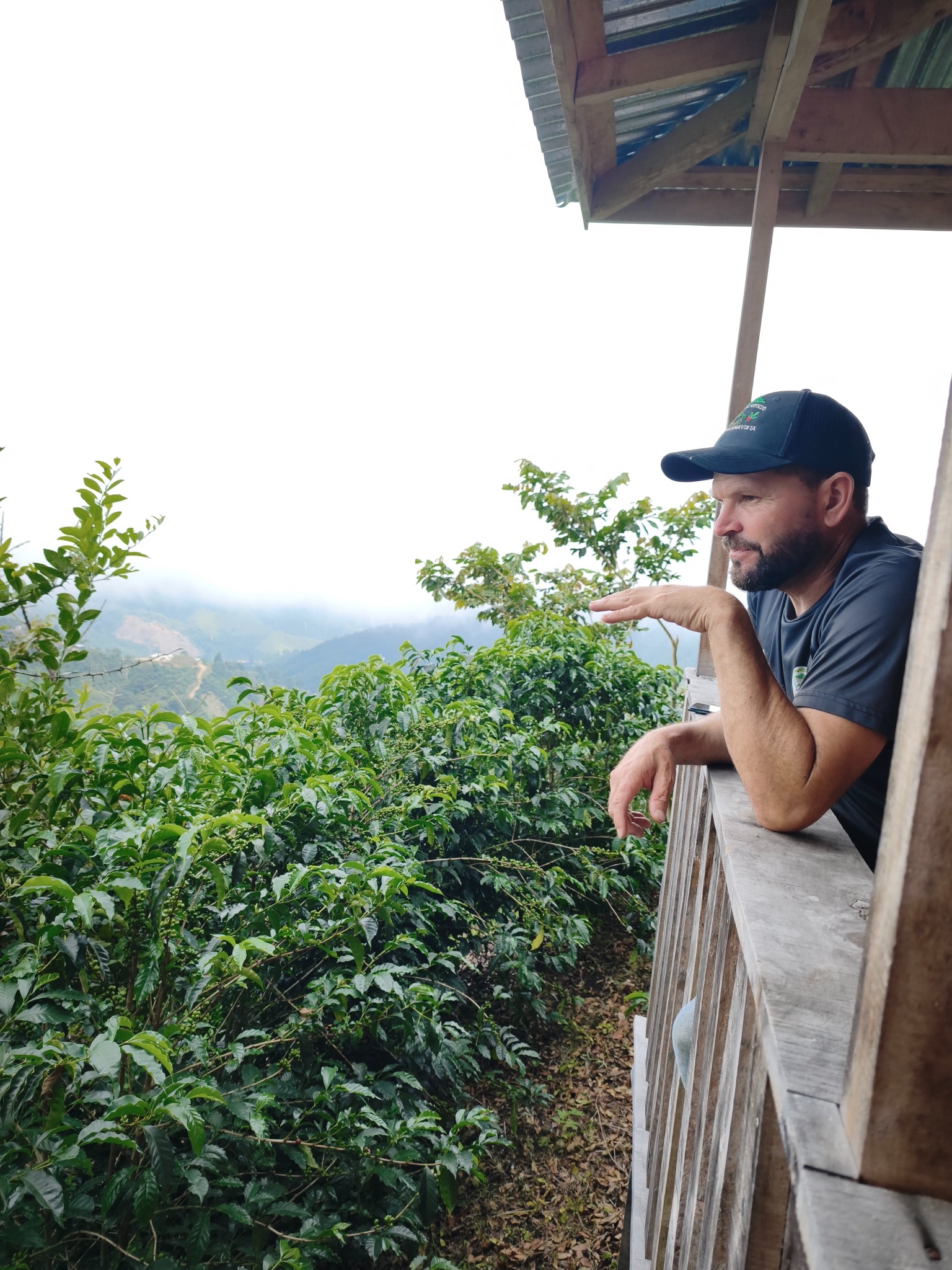 Kaly Coffee, Buena Vista