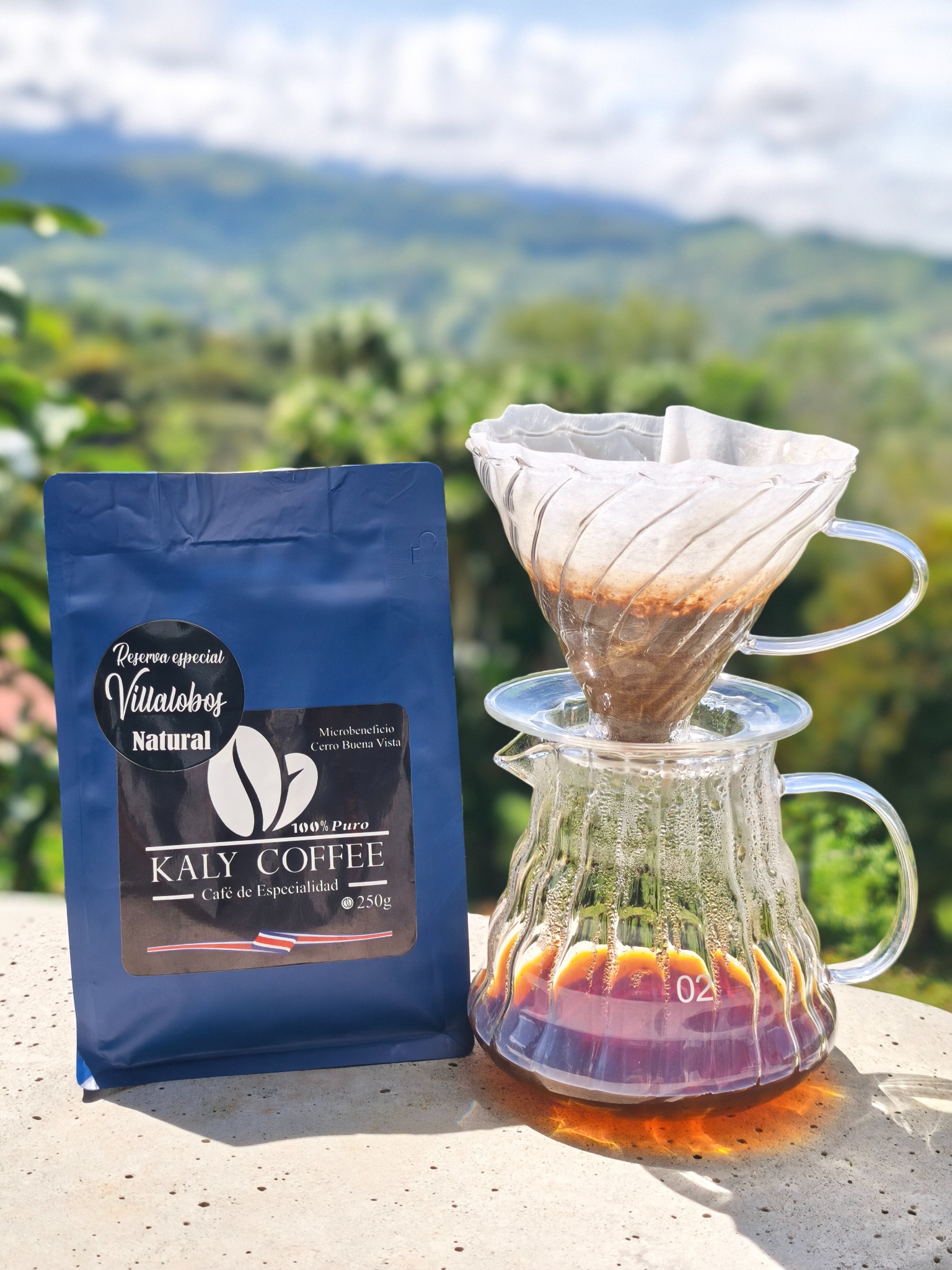 Kaly Coffee, Buena Vista